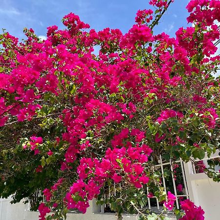 Les Villas Du Bambou - Villa Paprika Jusqu'A 6 Pers Le Gosier  Dış mekan fotoğraf
