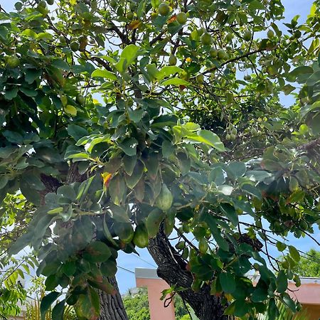 Les Villas Du Bambou - Villa Paprika Jusqu'A 6 Pers Le Gosier  Dış mekan fotoğraf